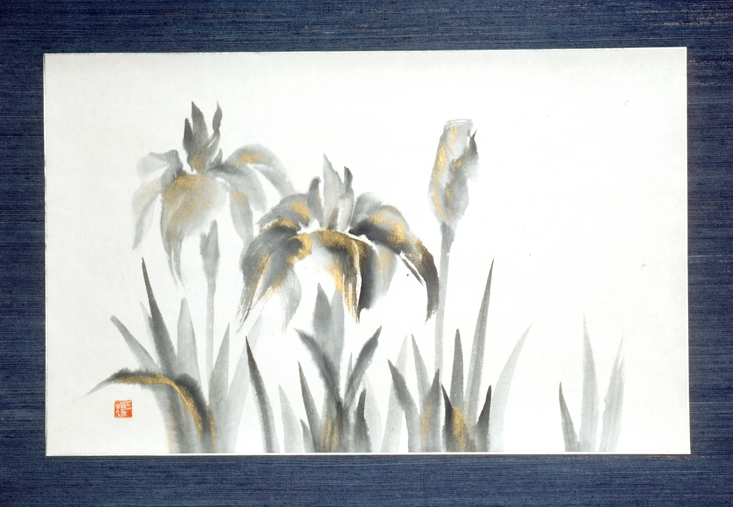 銀座個展菖蒲