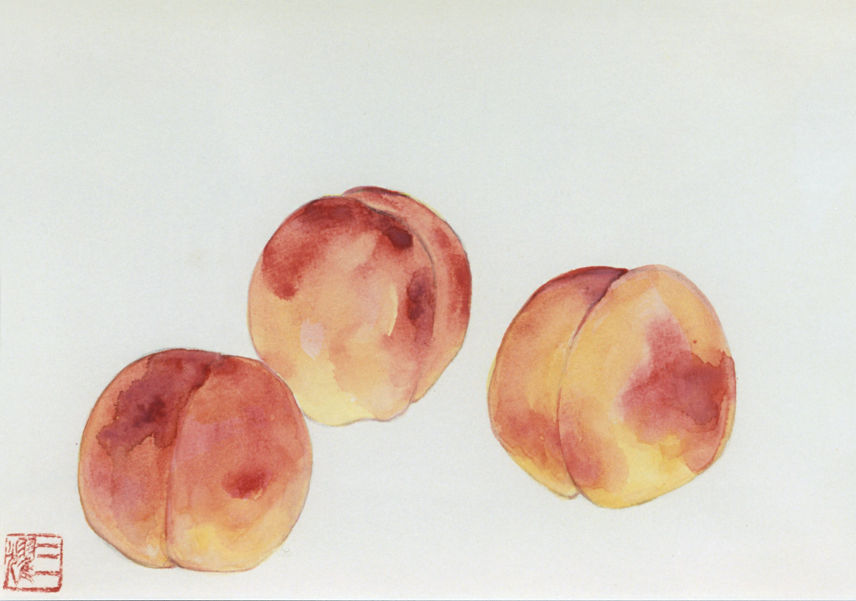 桃 (Momo - Peach)
