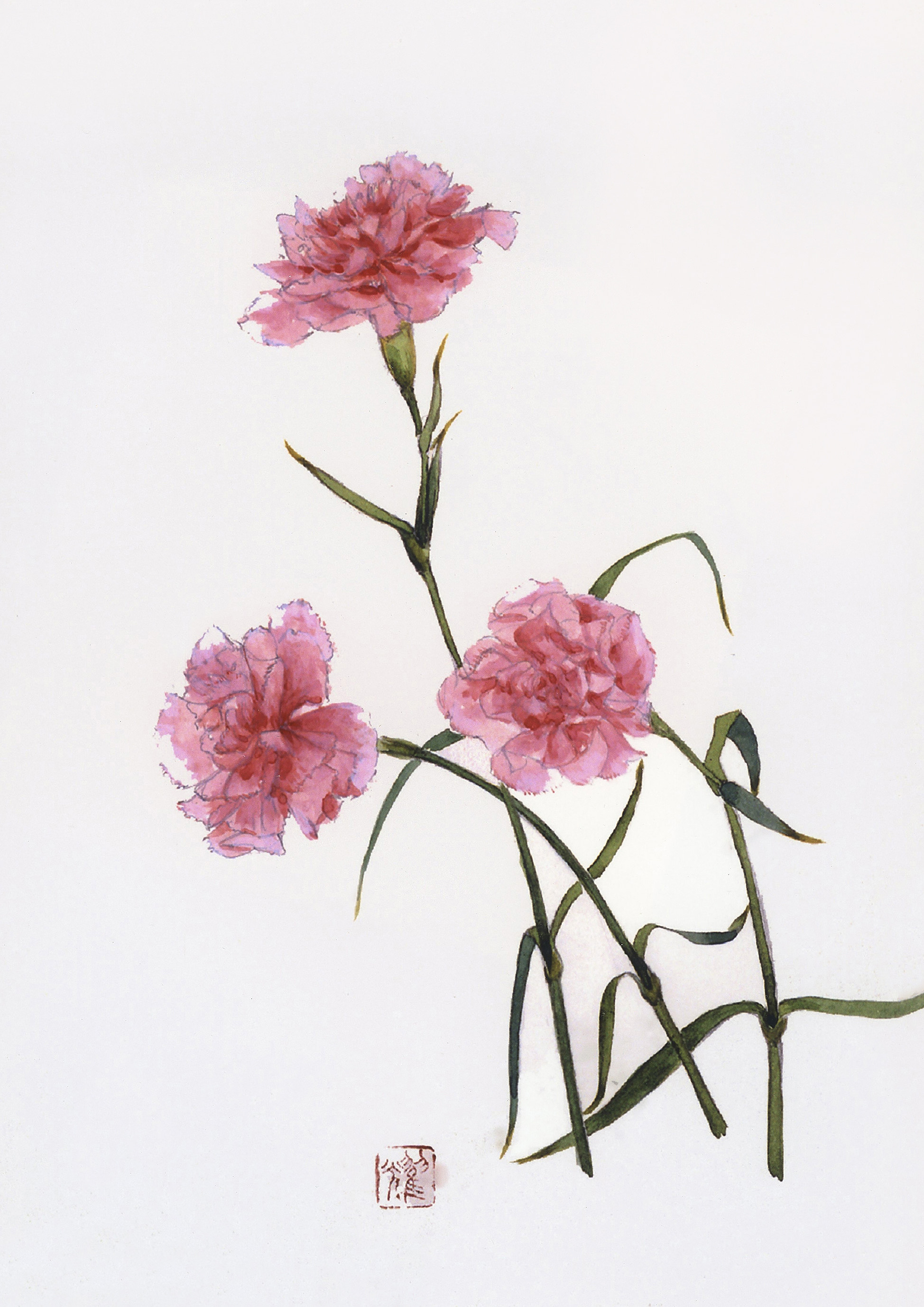 野の花シリーズ　カーネーション