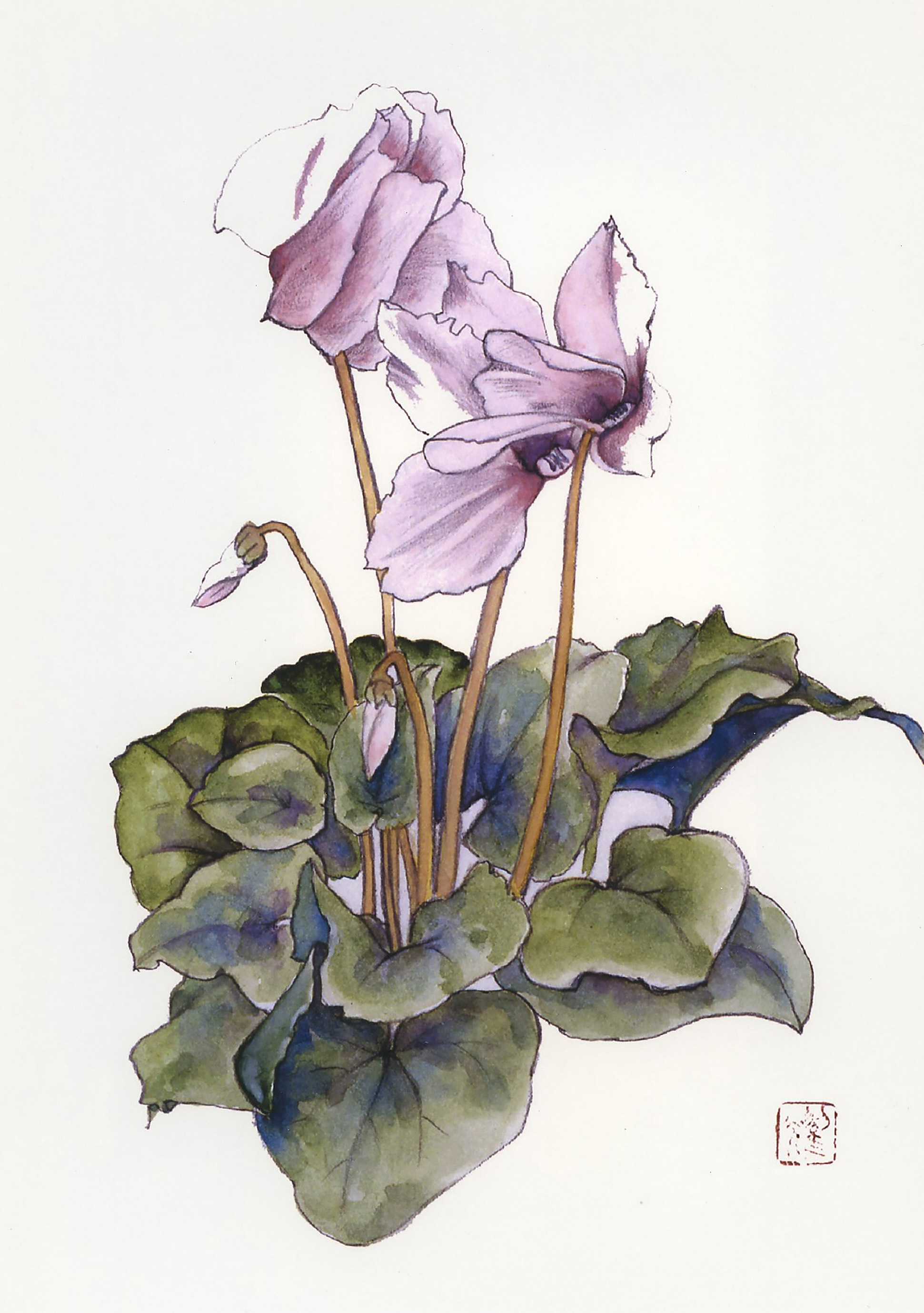 野の花シリーズ　ヒヤシンス