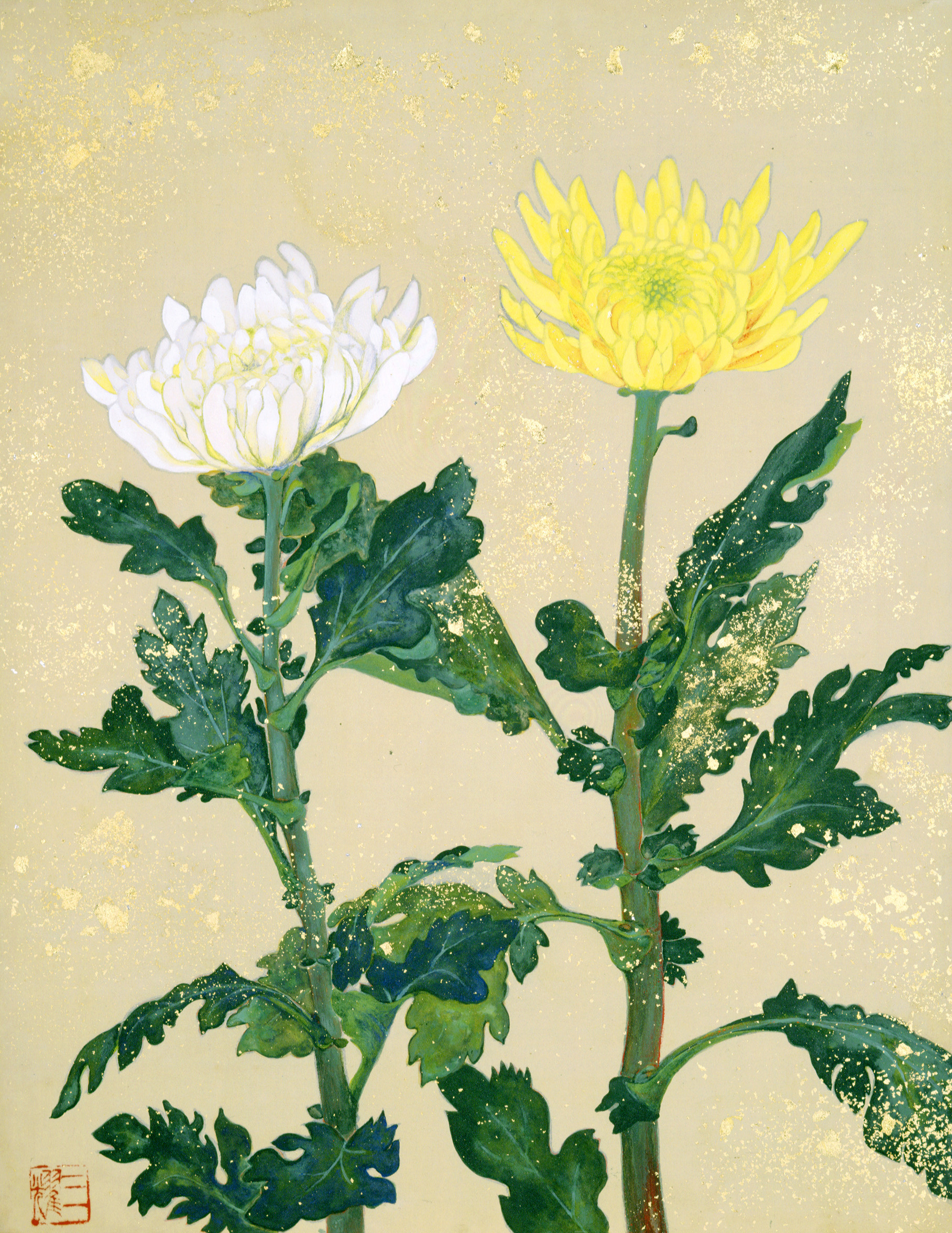 山田菊画集
